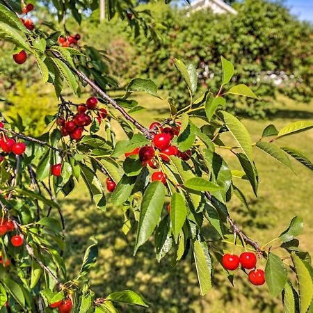 Finger Lakes Farm Retreat Walk To Wineries! Hector Экстерьер фото