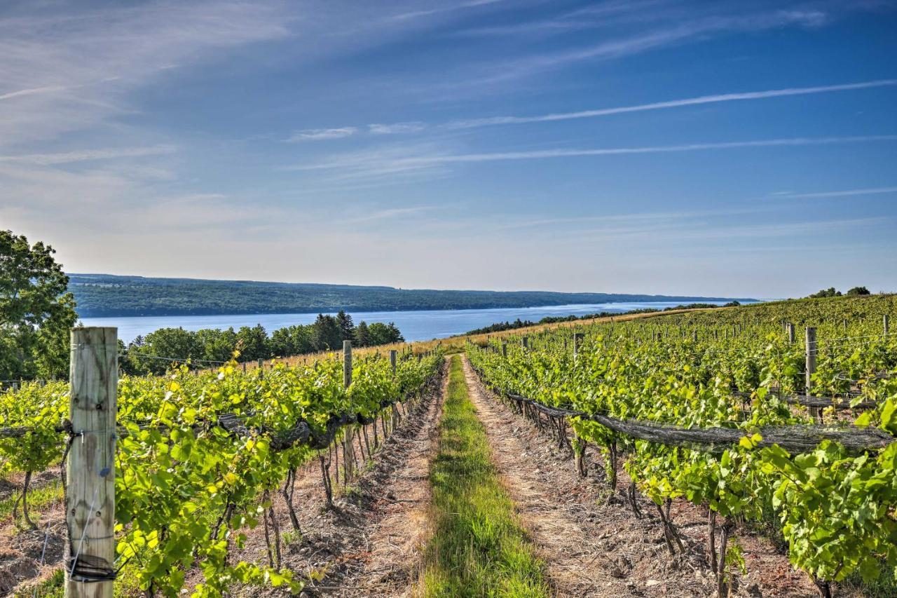Finger Lakes Farm Retreat Walk To Wineries! Hector Экстерьер фото