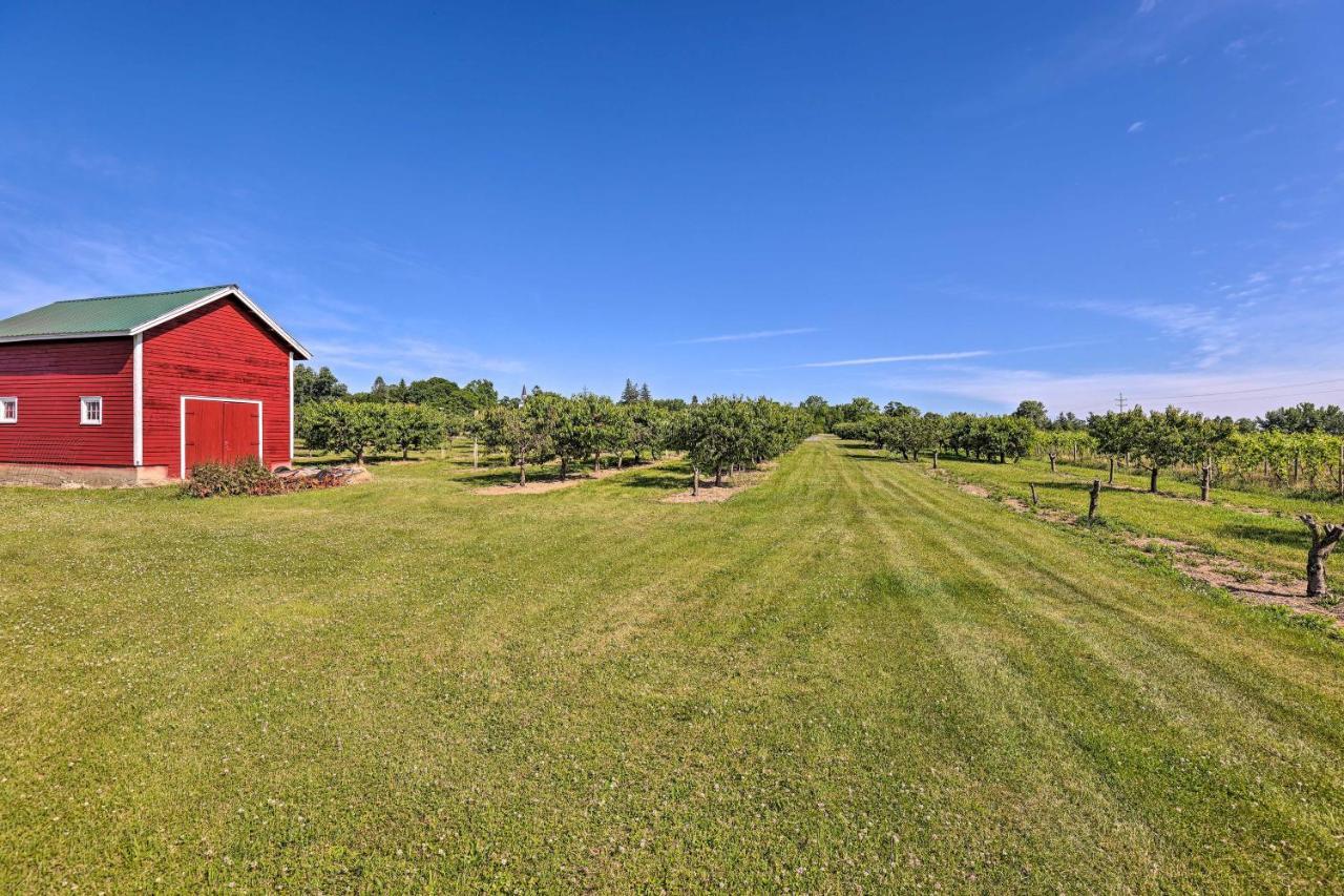 Finger Lakes Farm Retreat Walk To Wineries! Hector Экстерьер фото
