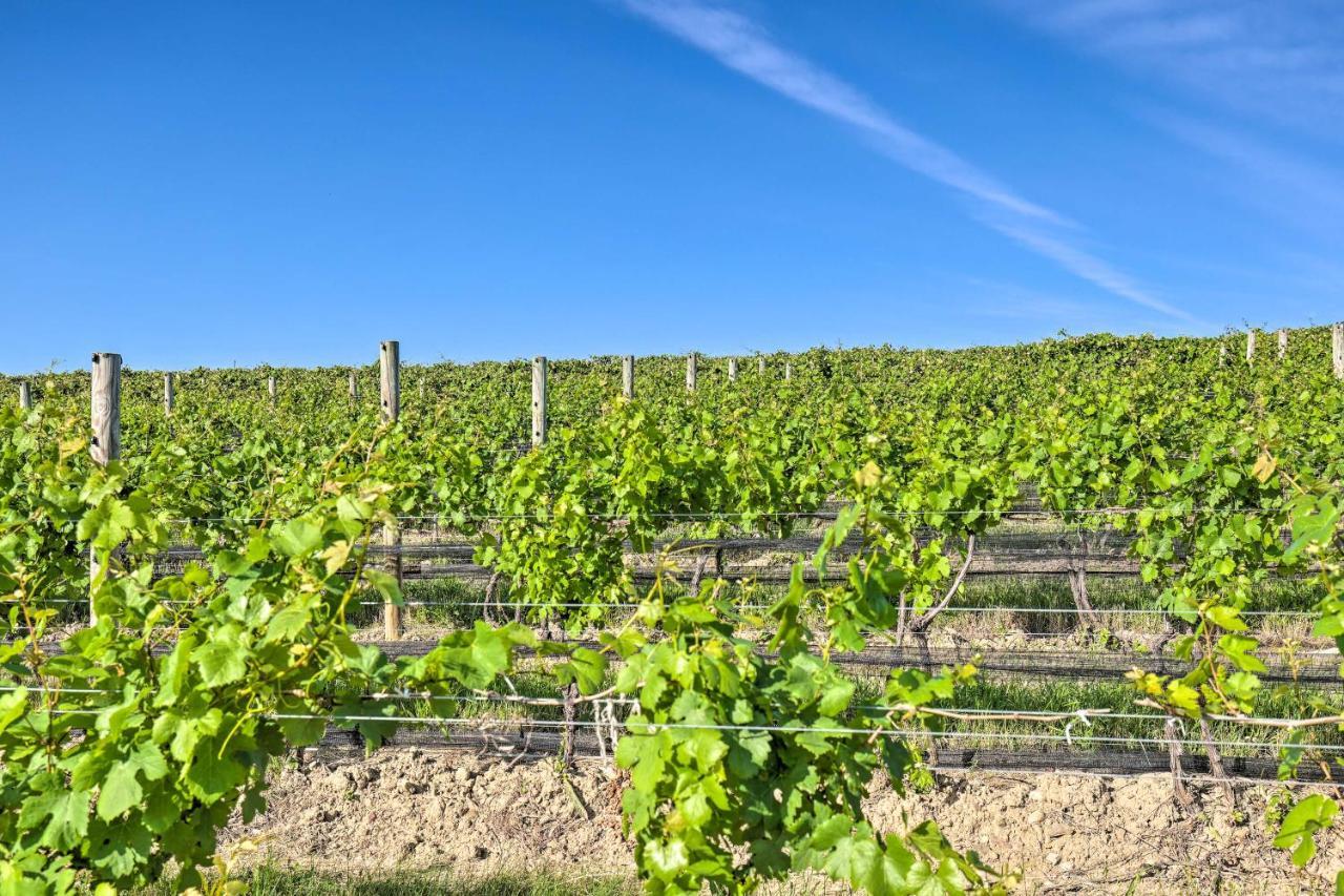 Finger Lakes Farm Retreat Walk To Wineries! Hector Экстерьер фото